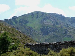 Le Monte Cervellu et le mur de la crête W
