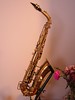 Buescher Saxophone Side View