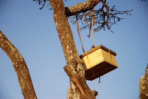 Langstroth hive in Baringo Kenya