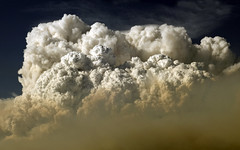 Pyrocumulus Cloud