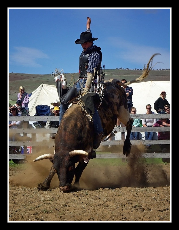Hamilton Rodeo (7 images)