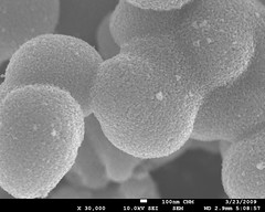 Carbon-Coated TiO2 Nanoparticles