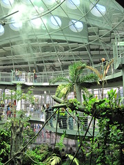 Rain Forest Dome
