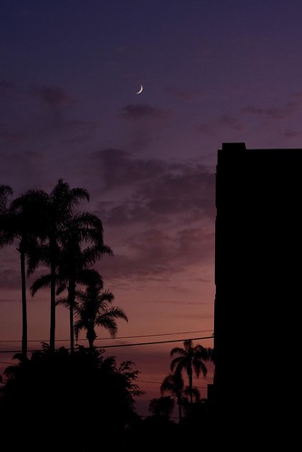 Sunset, moon, and palm trees