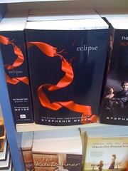 Twilight books