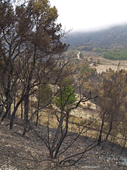 Incendio en Puig Campana y Ponoig