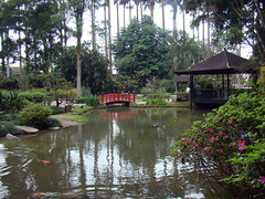 Jardim Japonês, Jardim Botânico - Botanical garden