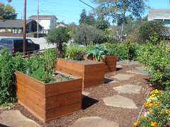 Our beautiful planter boxes • <a style="font-size:0.8em;" href="http://www.flickr.com/photos/29588248@N00/3923740301/" target="_blank">View on Flickr</a>