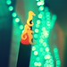 bokeh experiments