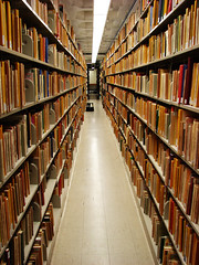 South Asian bookshelves