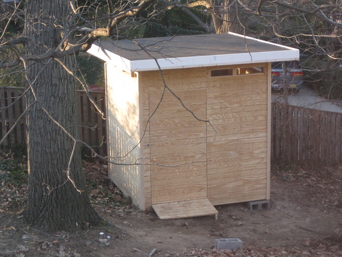 Shed Building 6