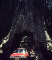 Yosemite National Park, California - USA (1992)