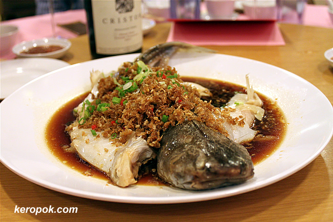 Steamed Live Patin Fish