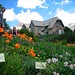 Les 110 ans du Jardin botanique alpin du Lautaret