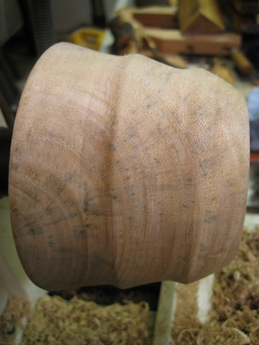 mold in ficus bowl turning