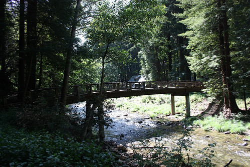 River and bridge at Ripplewood