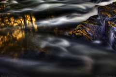 Morning Light on Duck Brook