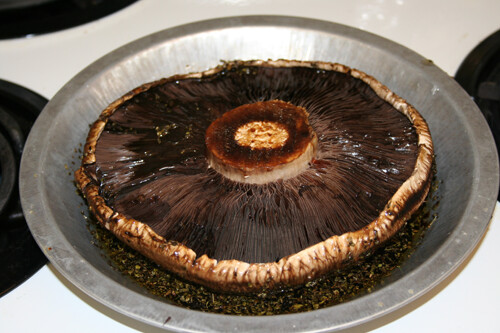 Place the mushroom cap, smooth side up, in a shallow dish.