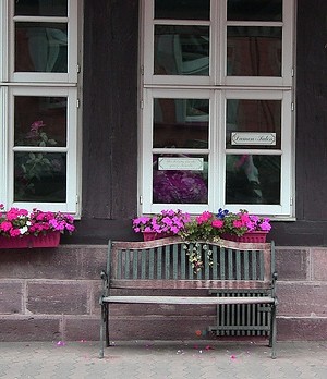 bench and flowers - germany