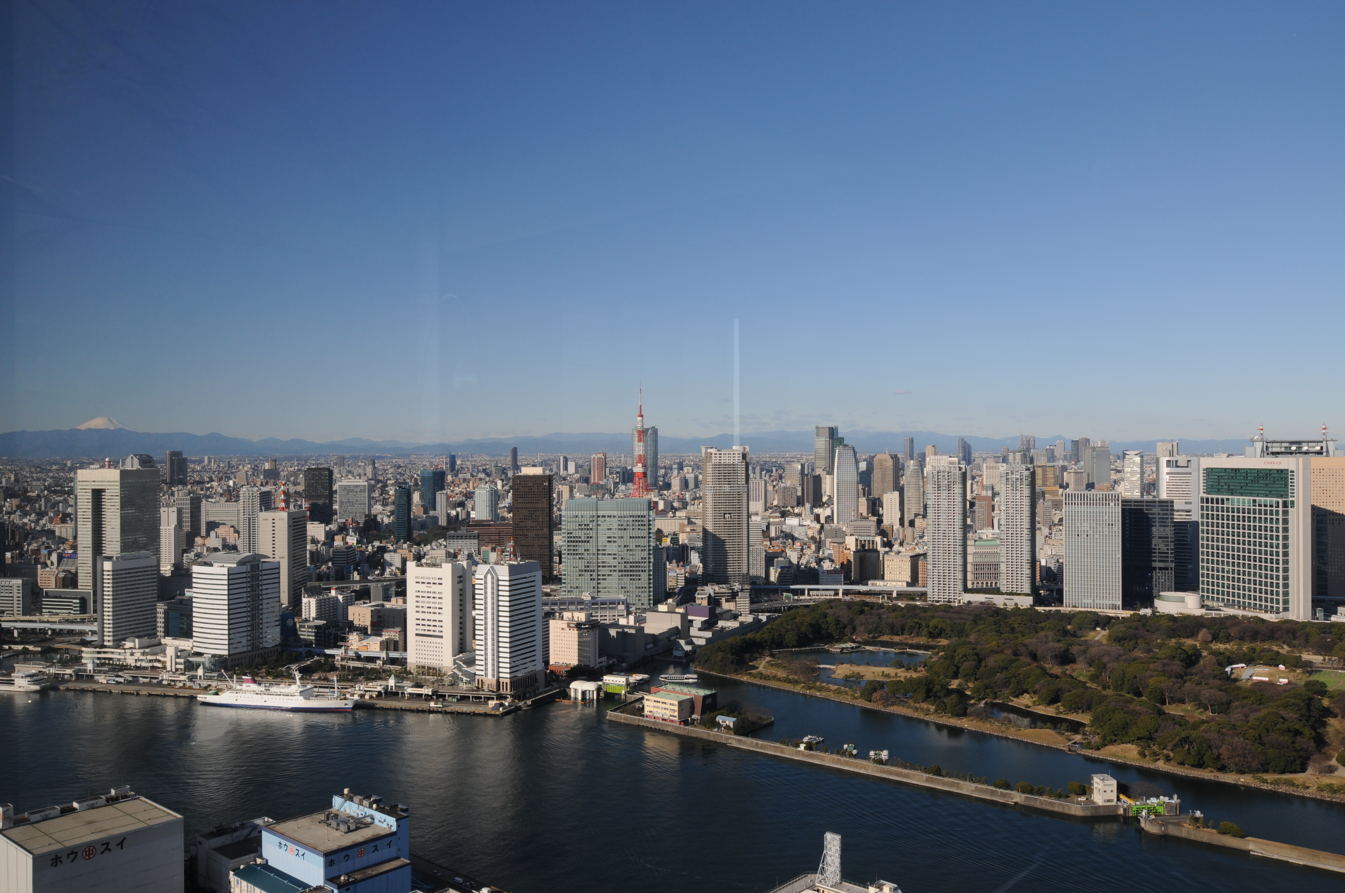 富士さんと東京タワーです。関東平野がほぼ...