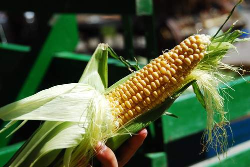 Richmond Country Farms - Sweet Corn