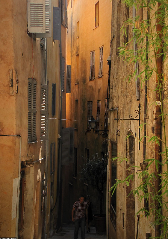20090923_08 Dude and bamboo-ish plant in alley, Grasse, France<br/>© <a href="https://flickr.com/people/72616463@N00" target="_blank" rel="nofollow">72616463@N00</a> (<a href="https://flickr.com/photo.gne?id=4015996693" target="_blank" rel="nofollow">Flickr</a>)