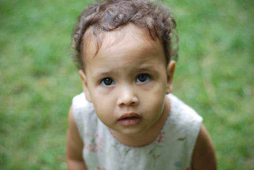 zamara