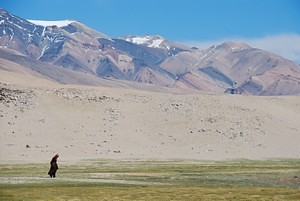 Ladakh 2009_53