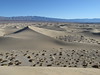 Barchan (Cresent) Dune, Death Valley