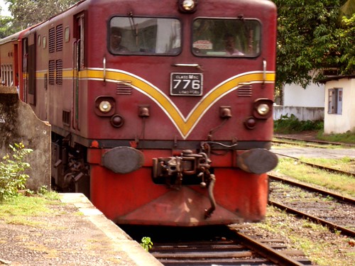 3467916656_2ff5d39e32.jpg