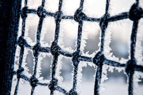 frosted tennis net