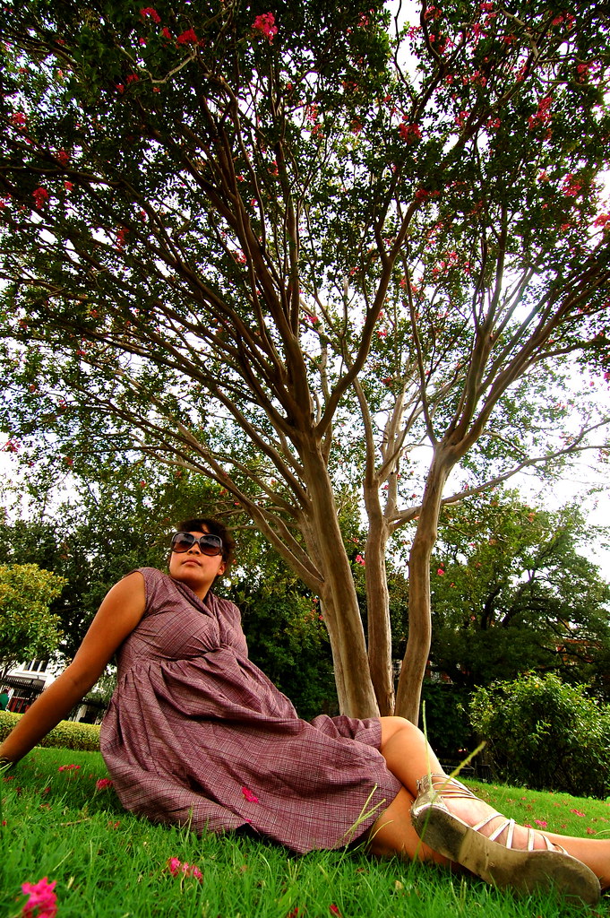 under a tree in jackson square