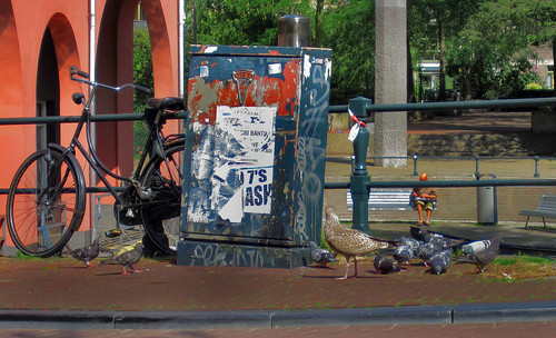 Amsterdam 253 • <a style="font-size:0.8em;" href="http://www.flickr.com/photos/30735181@N00/4012429765/" target="_blank">View on Flickr</a>