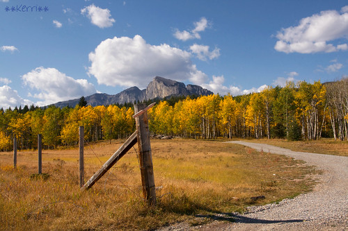 Autumn in the Rockies (Explored)