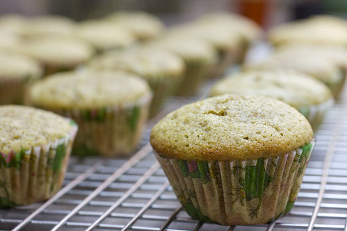 green tea cupcakes sans frosting