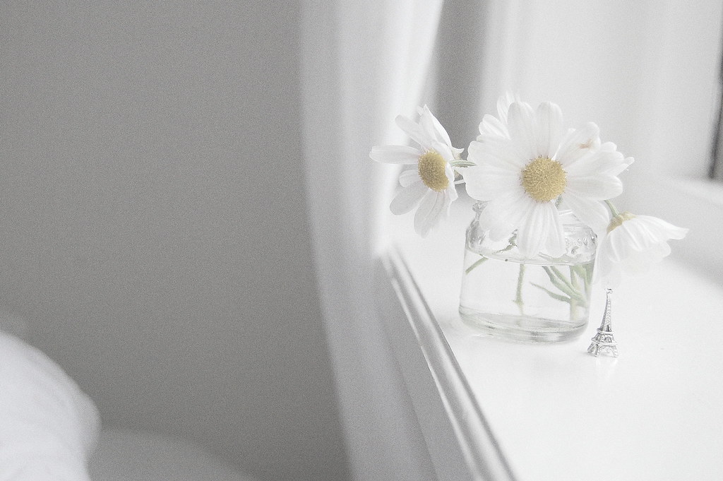 Светлое чистое нежное. Нежные белые цветы. Белые нежнейшие цветы. Нежные цветы на окне. Белые цветы Эстетика.
