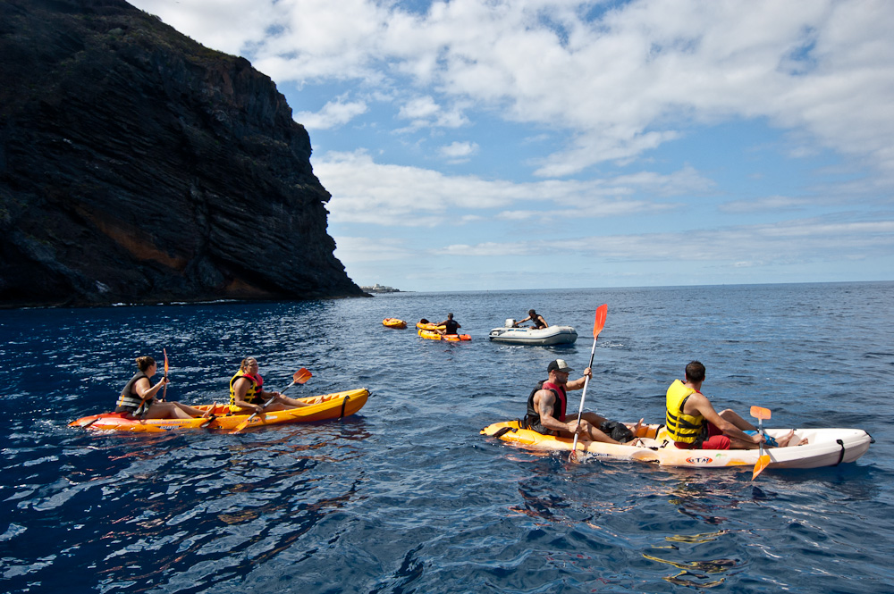 Kayak en los Gigantes con avistamiento de cetáceos 