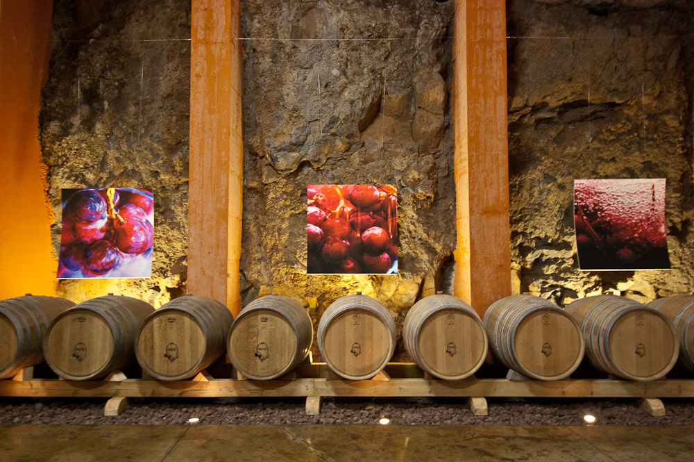 Descubriendo los vinos de Canarias en Bodegas Monje