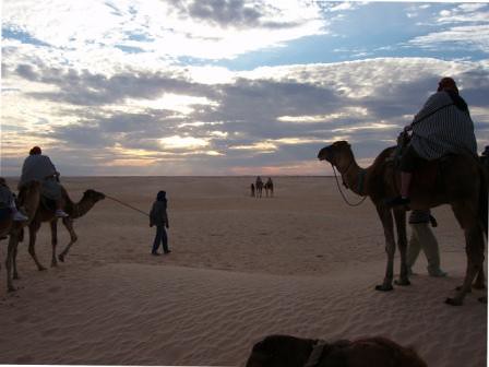 Tunisia, Douz, Sahara Desert