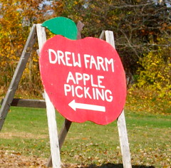 Apple Picking • <a style="font-size:0.8em;" href="http://www.flickr.com/photos/34335049@N04/4067932781/" target="_blank">View on Flickr</a>