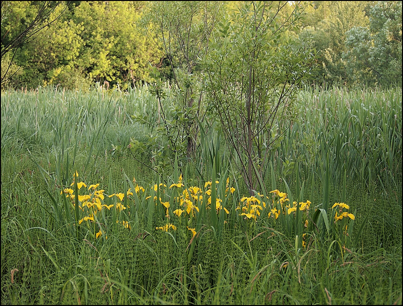 P1010575_1