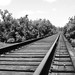 BNSF Railroad Swing Bridge over Neches River, Evadale, Texas 0804091208BW