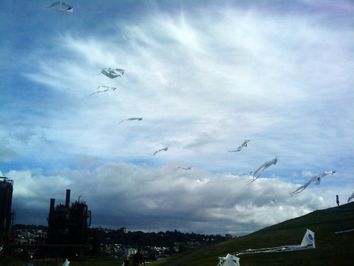 Kites over WA