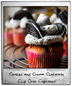 Cookies and Cream Chocolate Chip Oreo Cupcakes