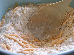 Cheese and Dry Ingredients mixed