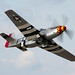 P-51D Mustang "Old Crow"
