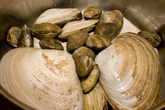 Clams About to Steam