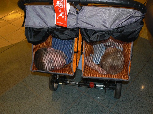 Resting in the rented stroller