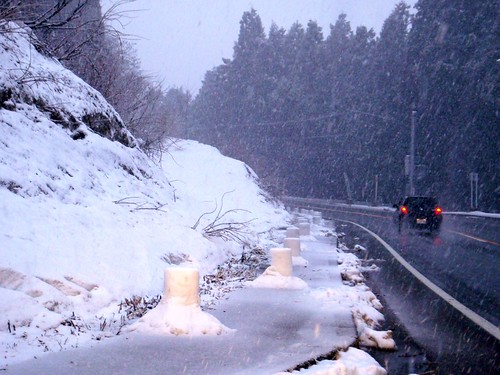 雪原カーニバルなかさと2009
