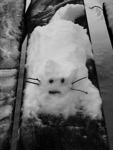 Snow Cat # 1